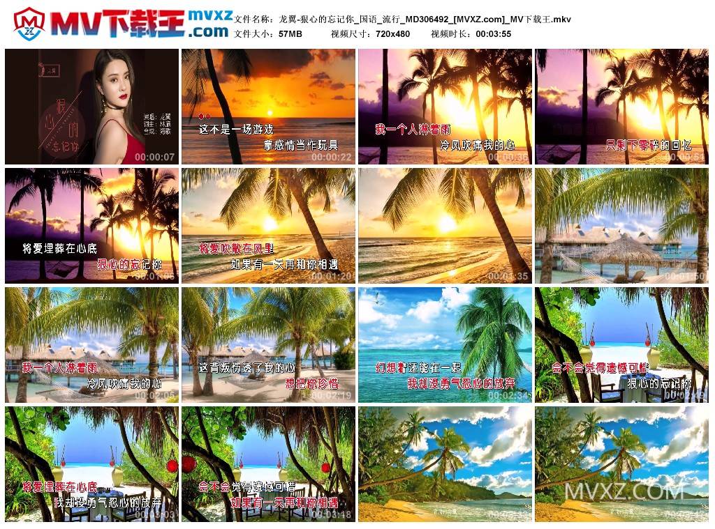 龙翼-狠心的忘记你_国语_流行_MD306492